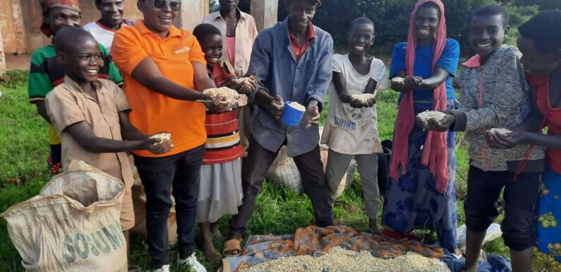 Burundi : Formation agricole et soutien par l’ONGe américaine World Vision.