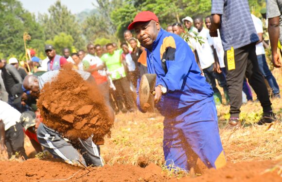 Burundi : TDC – Le Président trace des courbes de niveau à Yaranda, Kirundo.