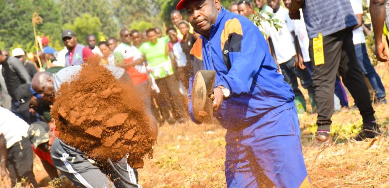 Burundi : TDC – Le Président trace des courbes de niveau à Yaranda, Kirundo.