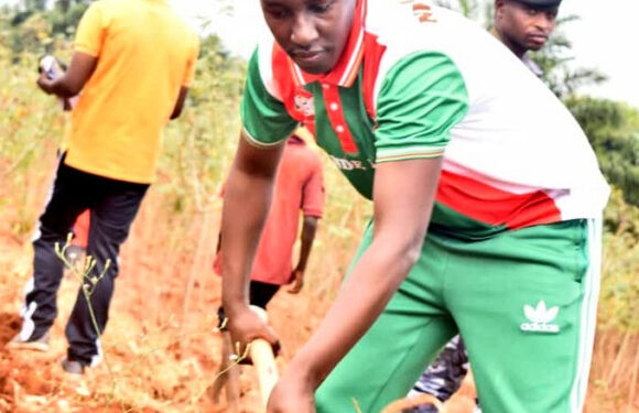 Burundi : Hon. Nkurunziza Fabrice aux travaux communautaires à Rugazi, Bubanza.