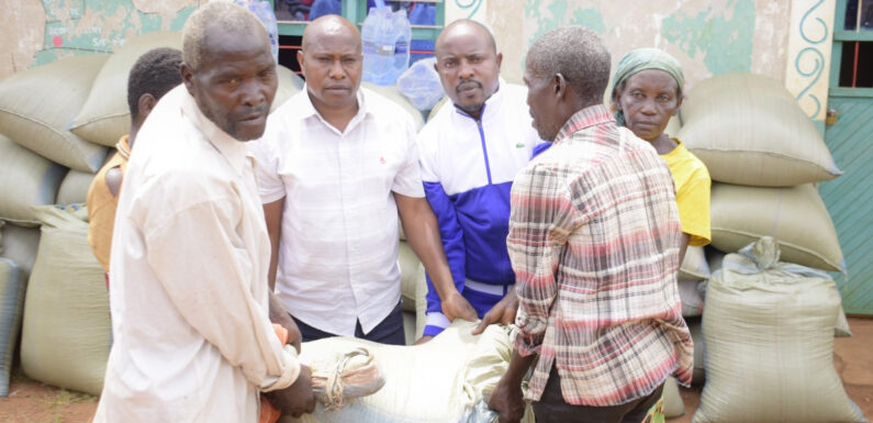 Burundi : 732 ménages soutenus face aux aléas climatiques à Busoni, Kirundo.