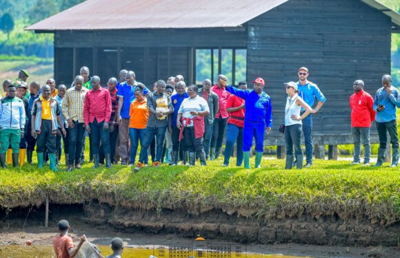 Burundi / USA : Le président Ndayishimiye reçoit l’ambassadrice Lisa Peterson à Gitega.