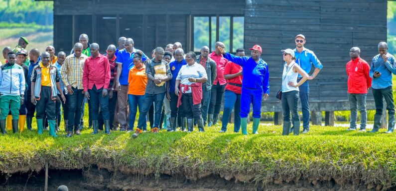 Burundi / USA : Le président Ndayishimiye reçoit l’ambassadrice Lisa Peterson à Gitega.