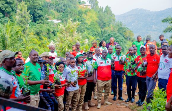 Burundi : Le CNDD-FDD plante des caféiers à Mukaza, Bujumbura.